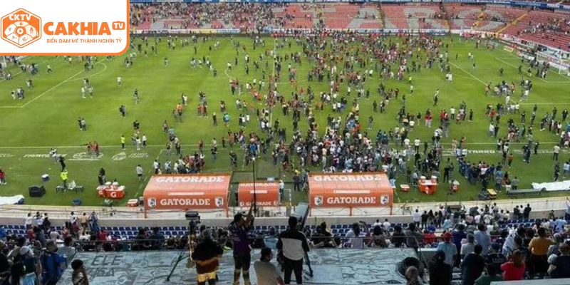 Lý do nên chọn xem trực tiếp tại VĐQG Mexico Liga MX 